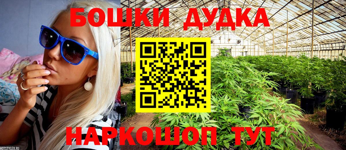 Бошки марихуана конопля  Канабис AK-47  Электрогорск  Конопля индика  Вход с VPN 